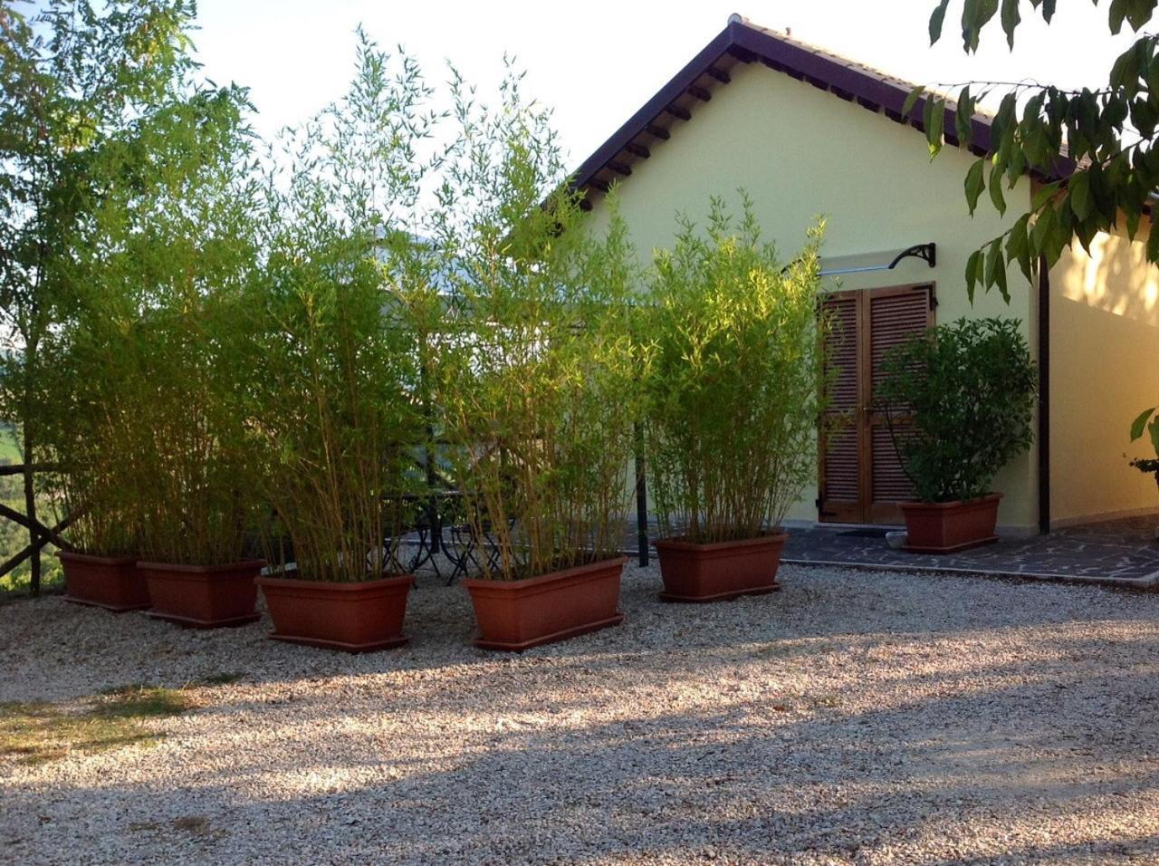 B&B Terra Di Mezzo Ascoli Piceno Ngoại thất bức ảnh